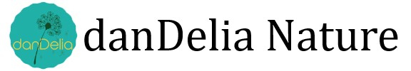 Logo Dandelia Nature